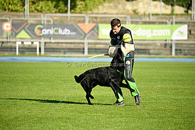 Boromir vom Druidensteig