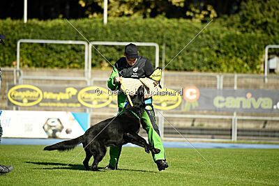 Boromir vom Druidensteig