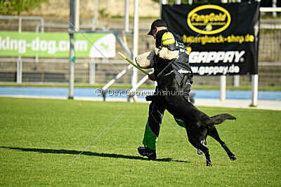 Boromir vom Druidensteig