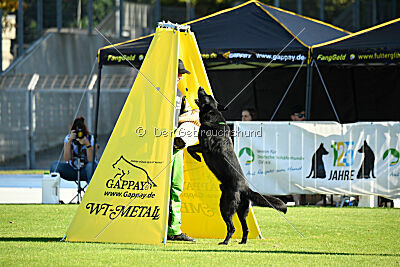 Boromir vom Druidensteig