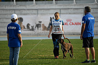 Bosckoph Sir Chaplin