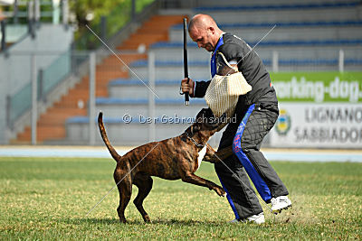 Bosckoph Sir Chaplin