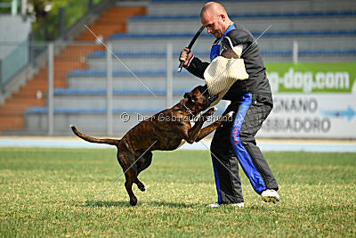 Bosckoph Sir Chaplin