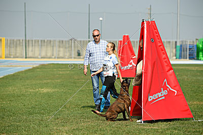 Bosckoph Sir Chaplin