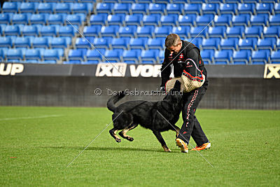 Boss vom Adlerschrei