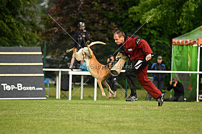 Bowie vom Clan der Wölfe