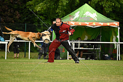 Bowie vom Clan der Wölfe