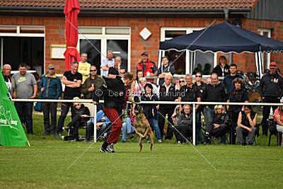 Bowie vom Clan der Wölfe