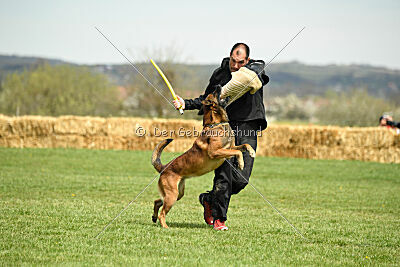 Boyka de Fontemordant