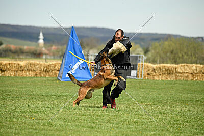 Boyka de Fontemordant