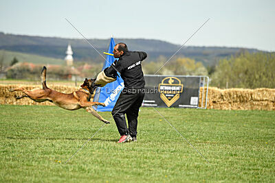 Boyka de Fontemordant