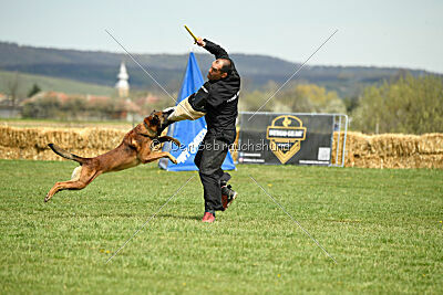 Boyka de Fontemordant