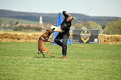 Boyka de Fontemordant