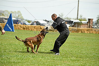 Boyka de Fontemordant