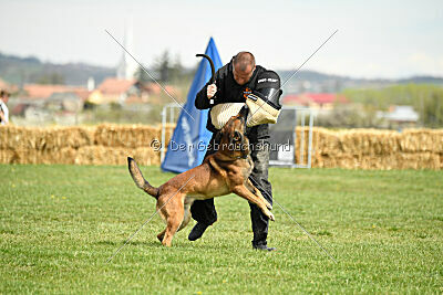 Boyka de Fontemordant