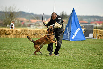 Boyka de Fontemordant