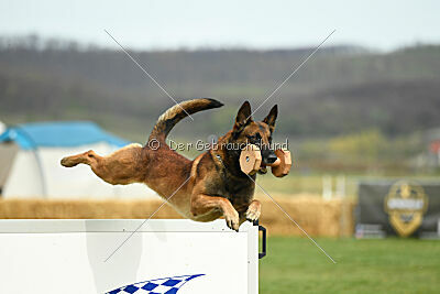 Boyka de Fontemordant