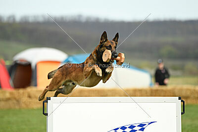 Boyka de Fontemordant