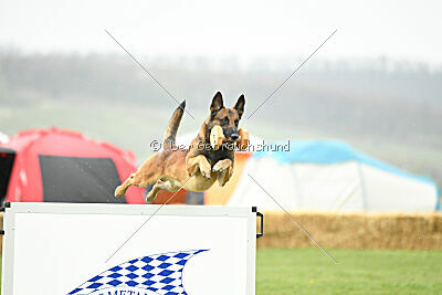 Boyka de Fontemordant