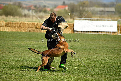 Boyka de Fontemordant