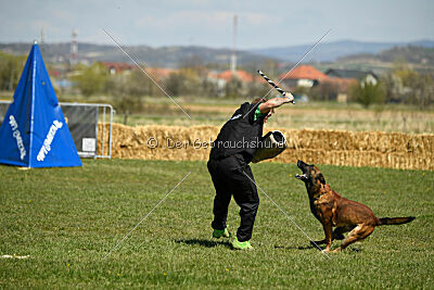 Boyka de Fontemordant