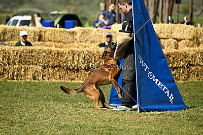 Boyka de Fontemordant