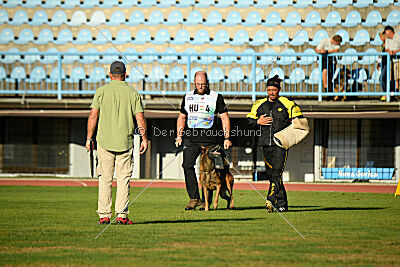 Boyka de Fontemordant