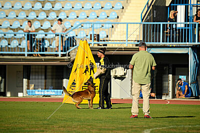 Boyka de Fontemordant