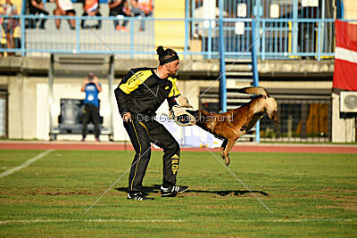 Boyka de Fontemordant