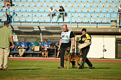 Boyka de Fontemordant