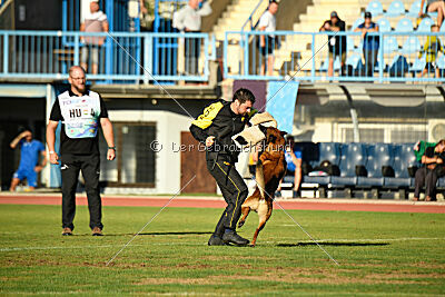 Boyka de Fontemordant