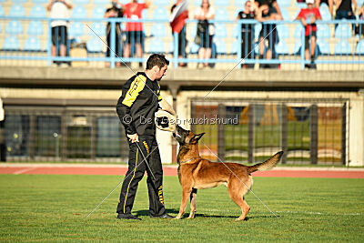 Boyka de Fontemordant