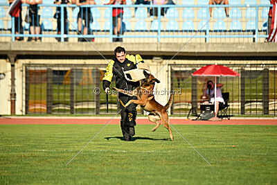 Boyka de Fontemordant