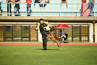 Boyka de Fontemordant