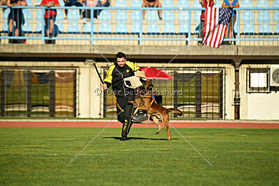 Boyka de Fontemordant