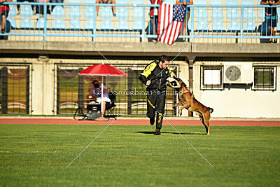 Boyka de Fontemordant