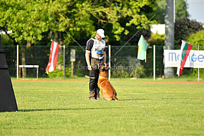 Boyka de Fontemordant