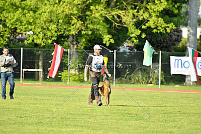 Boyka de Fontemordant