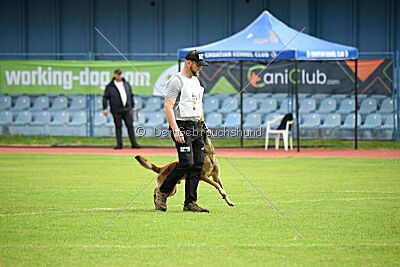 Boyka de Fontemordant