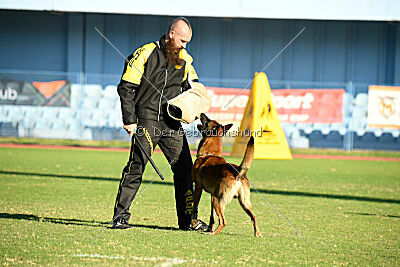 Boyka de Fontemordant