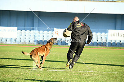 Boyka de Fontemordant