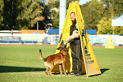 Boyka de Fontemordant