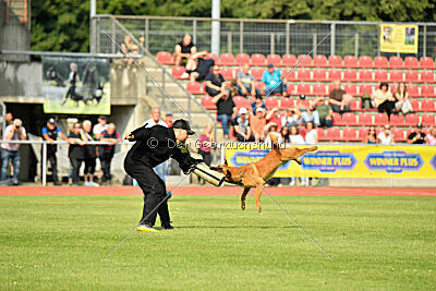 Branko von Haus ReKO