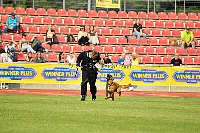 Branko von Haus ReKO