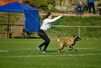 Bree Bonfire von Zamonien