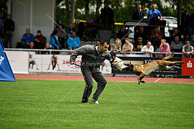 Bree Bonfire von Zamonien