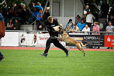 Bree Bonfire von Zamonien