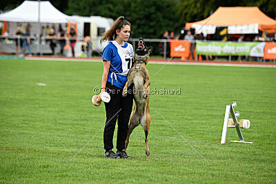 Bree Bonfire von Zamonien