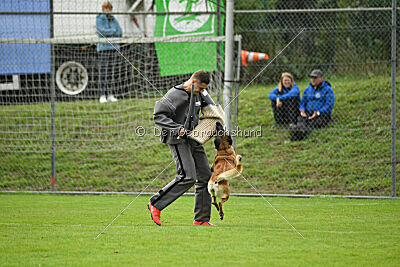 Brianna vom Giannioti Sports Dog