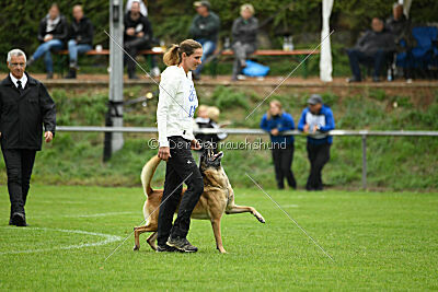 Brianna vom Giannioti Sports Dog